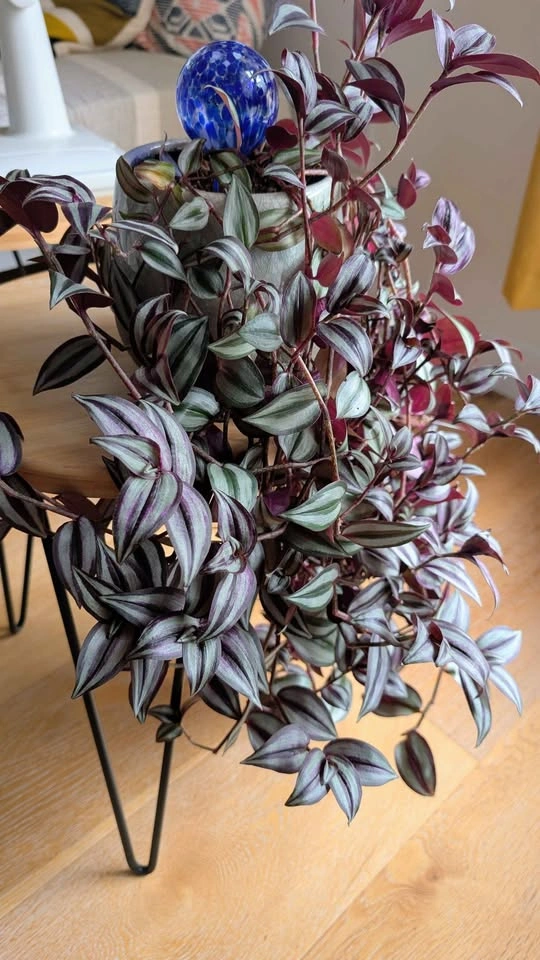 Create your own potted plant - photo 4