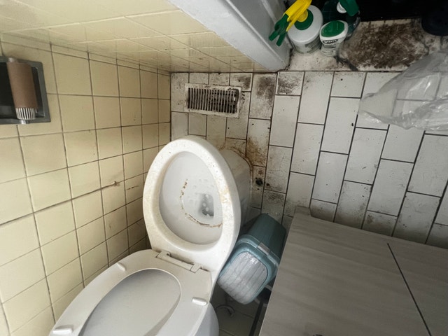 Deep Cleaner - photo 4