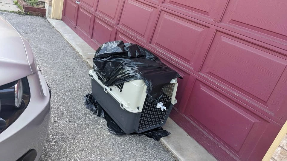Large/XL Heavy-Duty Dog Travel Kennel – Airline Travel Ready - photo 2