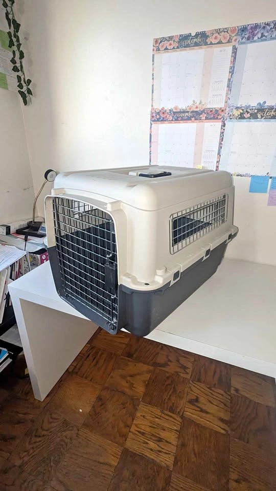 Hard-Sided Dog Crate / Travel Kennel – Medium-Large