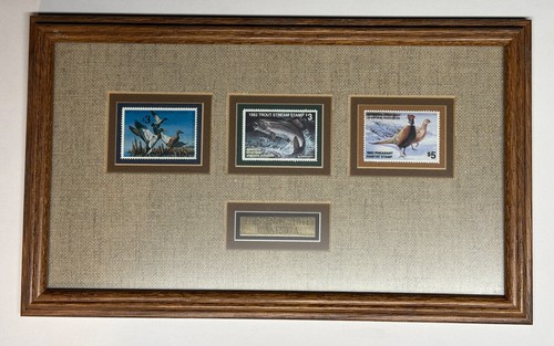 Framed MN Duck, Trout, Pheasnt Stamp, First Printing Each