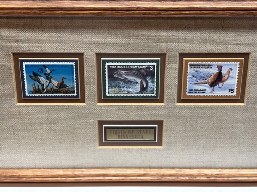 Framed MN Duck, Trout, Pheasnt Stamp, First Printing Each - photo 2
