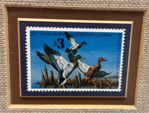 Framed MN Duck, Trout, Pheasnt Stamp, First Printing Each - photo 3