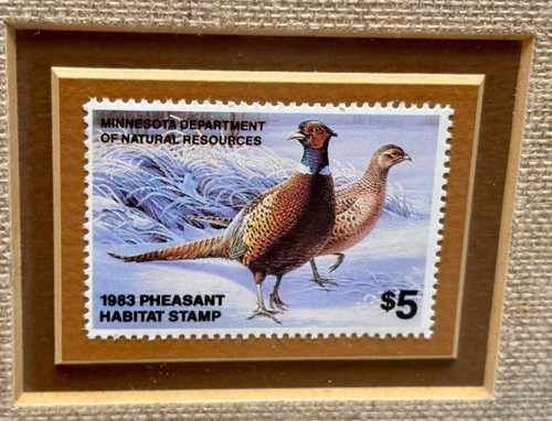 Framed MN Duck, Trout, Pheasnt Stamp, First Printing Each - photo 5