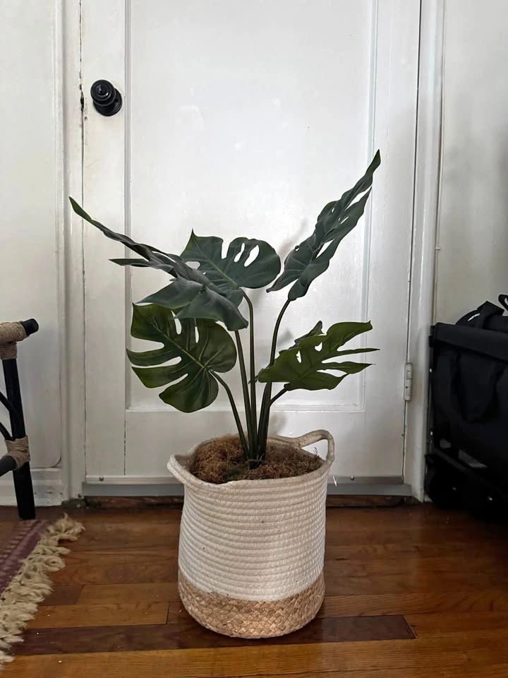 Artificial Monstera Plant with Woven Basket