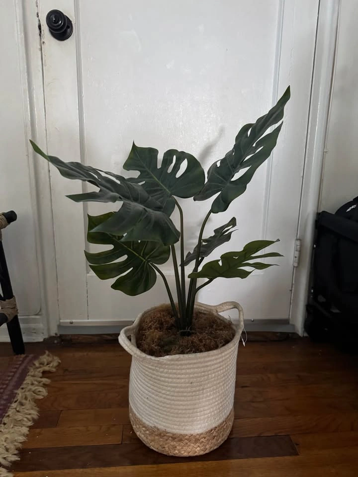 Artificial Monstera Plant with Woven Basket - photo 2