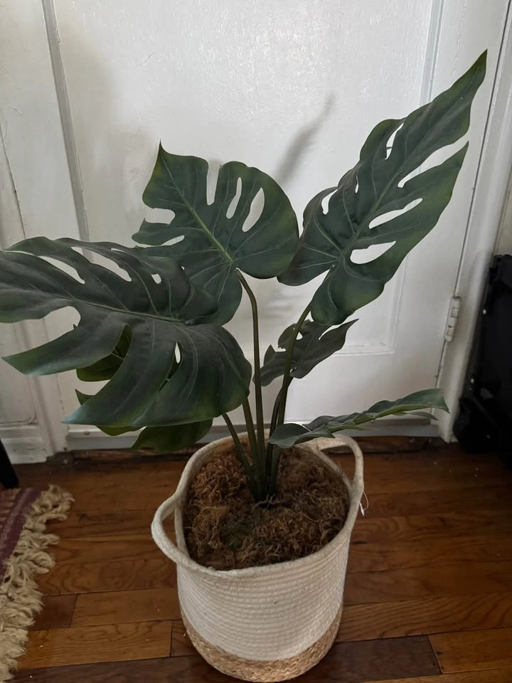 Artificial Monstera Plant with Woven Basket - photo 3