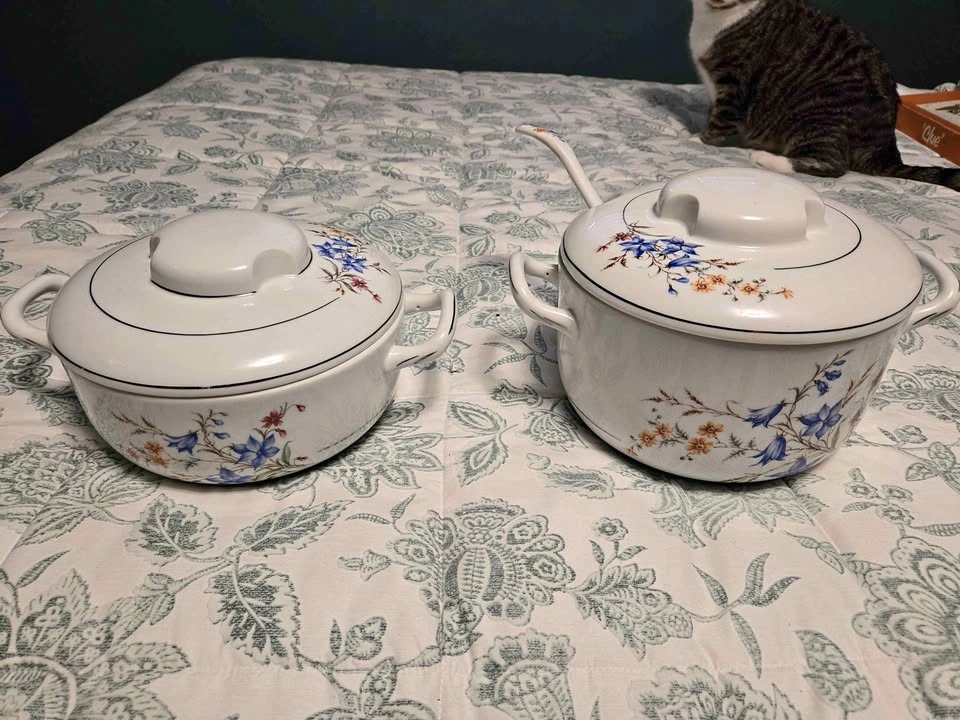 Vintage Floral Ceramic Soup Tureens with Ladle