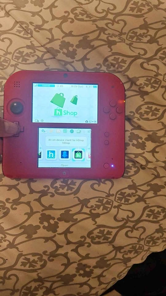 2ds with charger and original stylus