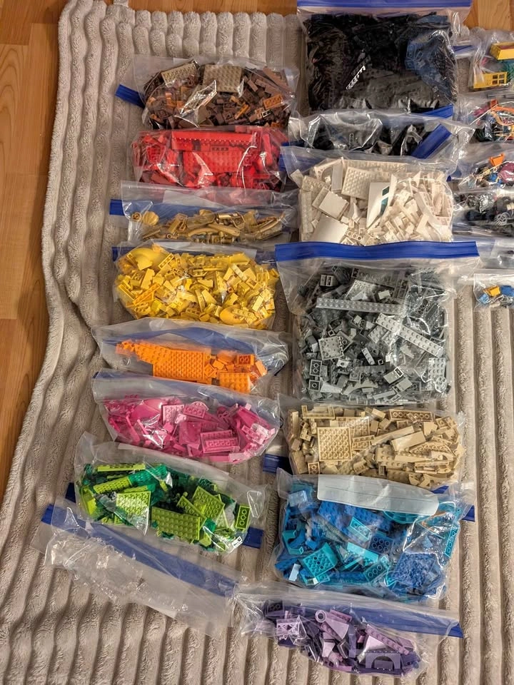 LEGO Bulk Brick and Minifigure Lot