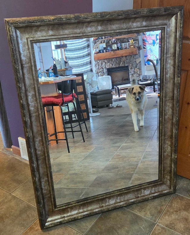 Antiqued Pewter Extra Large Wide Frame Wall Mirror 50x40 - photo 5