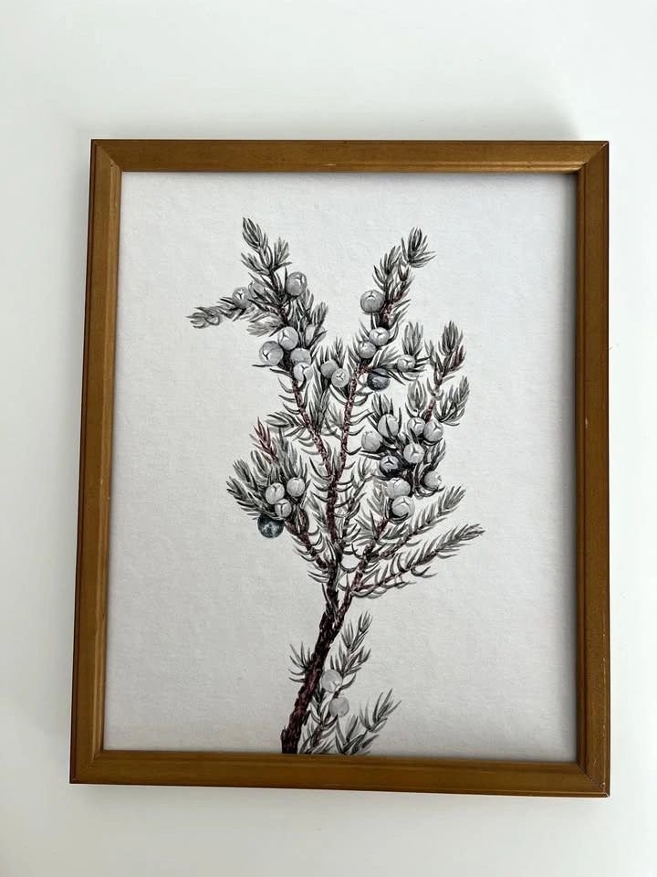8x10 Art Print- Winter Branch