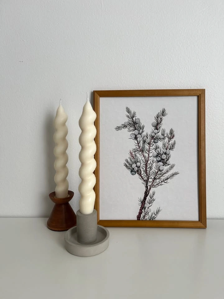 8x10 Art Print- Winter Branch - photo 2