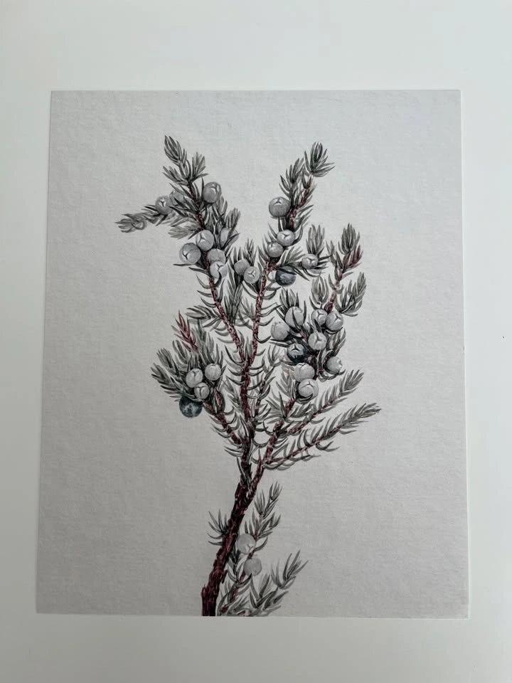 8x10 Art Print- Winter Branch - photo 3