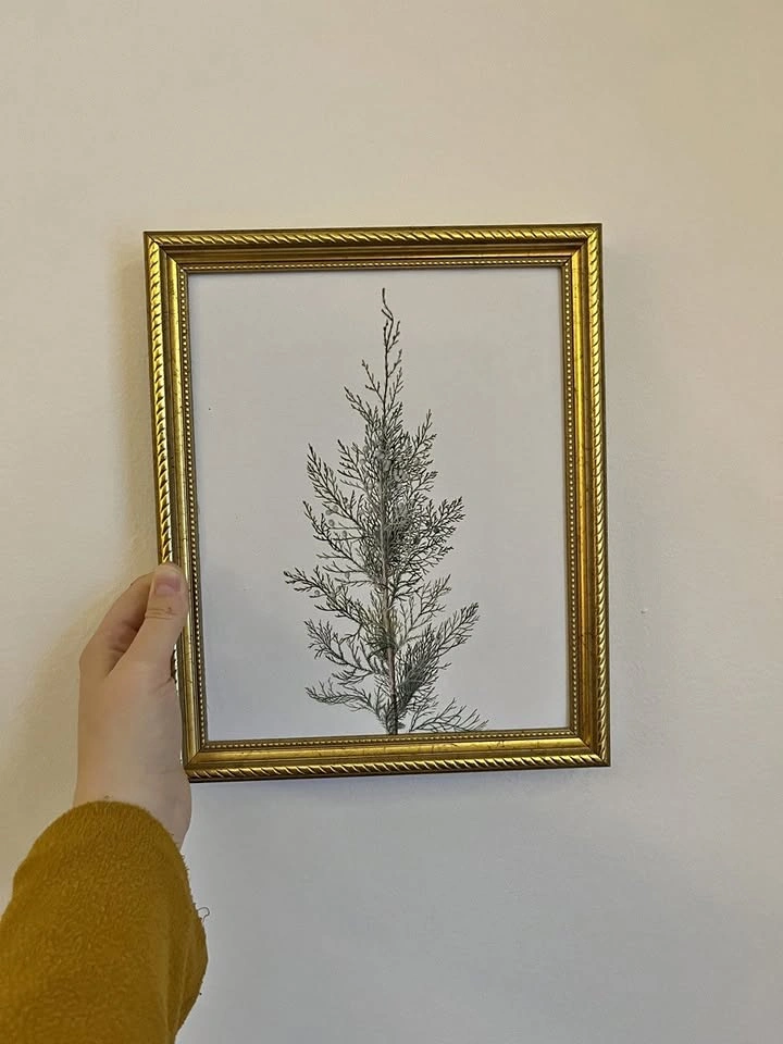 8x10 Art Print- Spruce