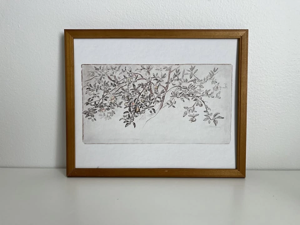 8x10 Art Print- Apple Tree