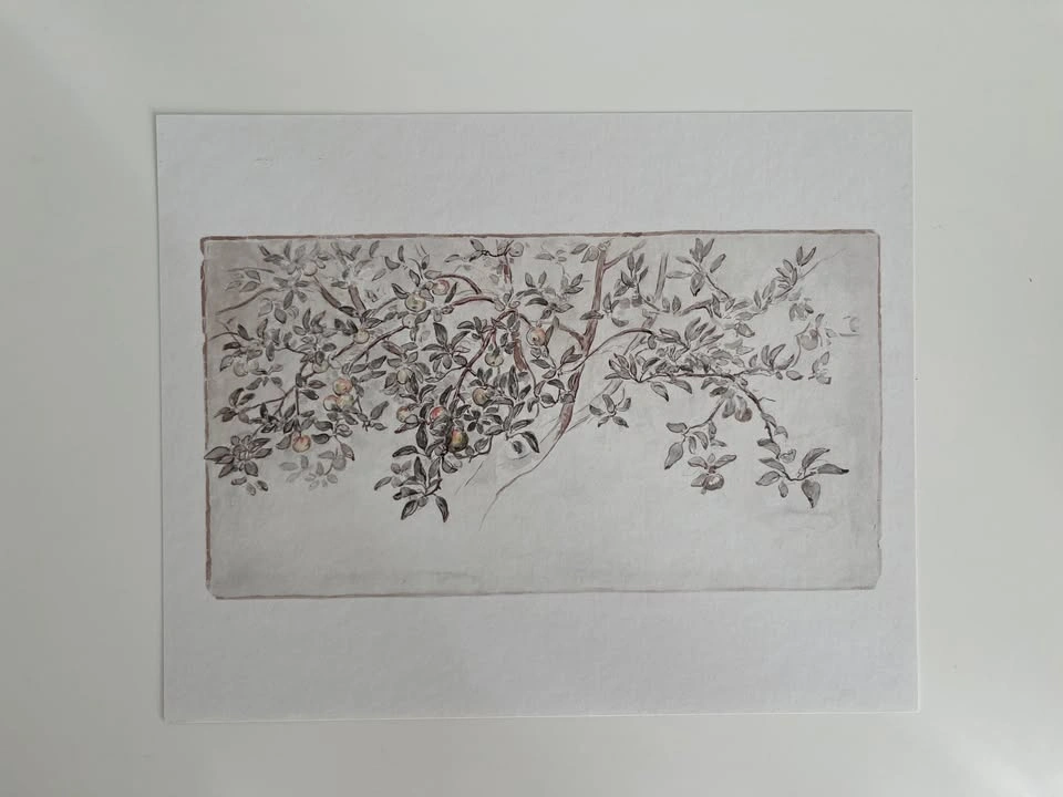 8x10 Art Print- Apple Tree - photo 2