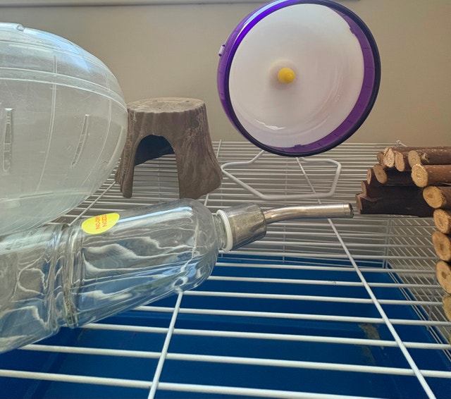 Hamster Cage and Accessories - photo 2