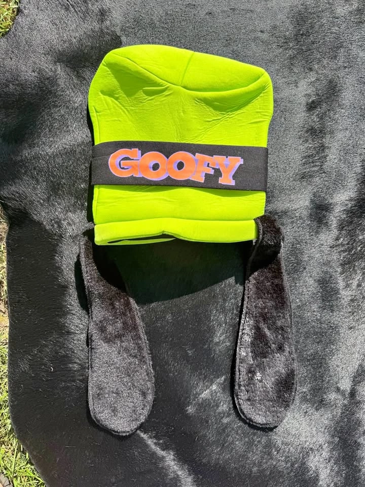 Goofy Hat