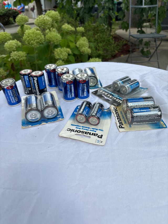 Panasonic and Eveready C and D Batteries - photo 2