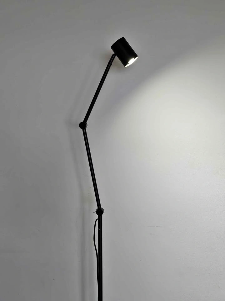 Black Adjustable Floor Lamp