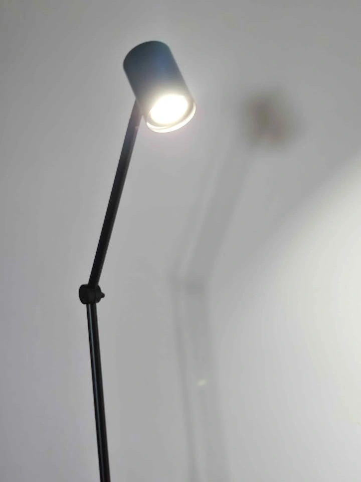 Black Adjustable Floor Lamp - photo 2