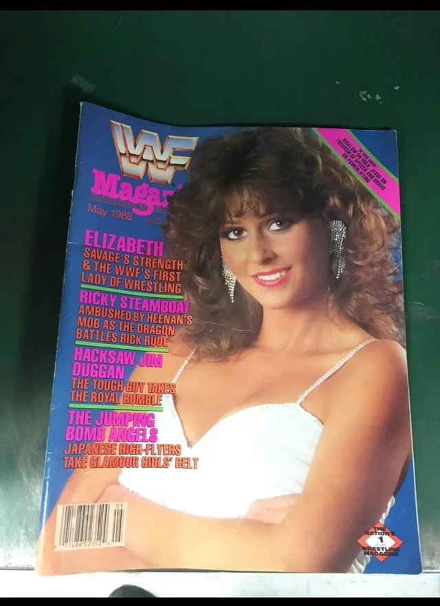 Vintage WWF Magazine thumbnail