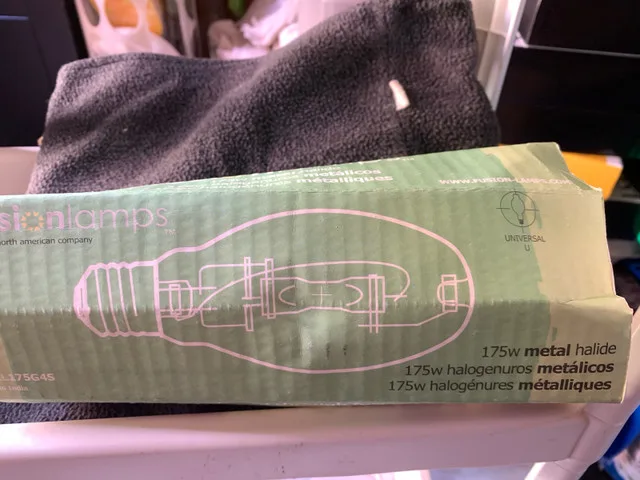 175W metal Halide Bulb. thumbnail