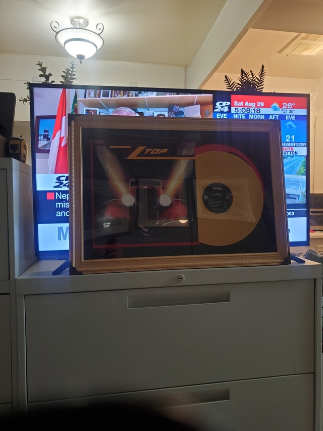 ZZ TOP Framed Gold Album