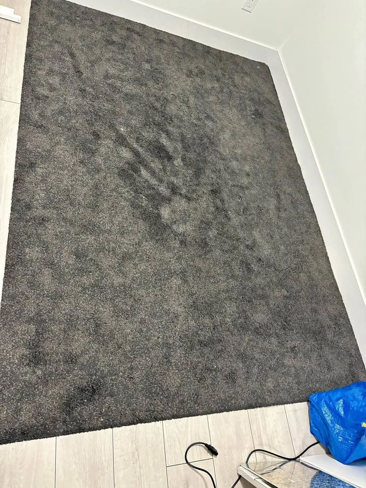 Area Rug/carpet