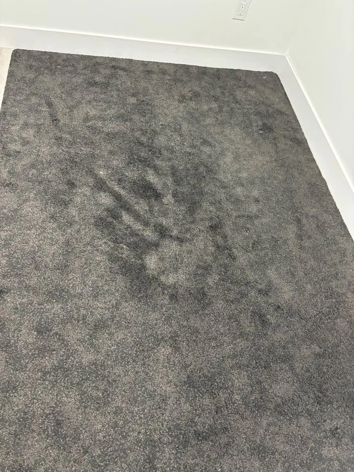 Area Rug/carpet - photo 2