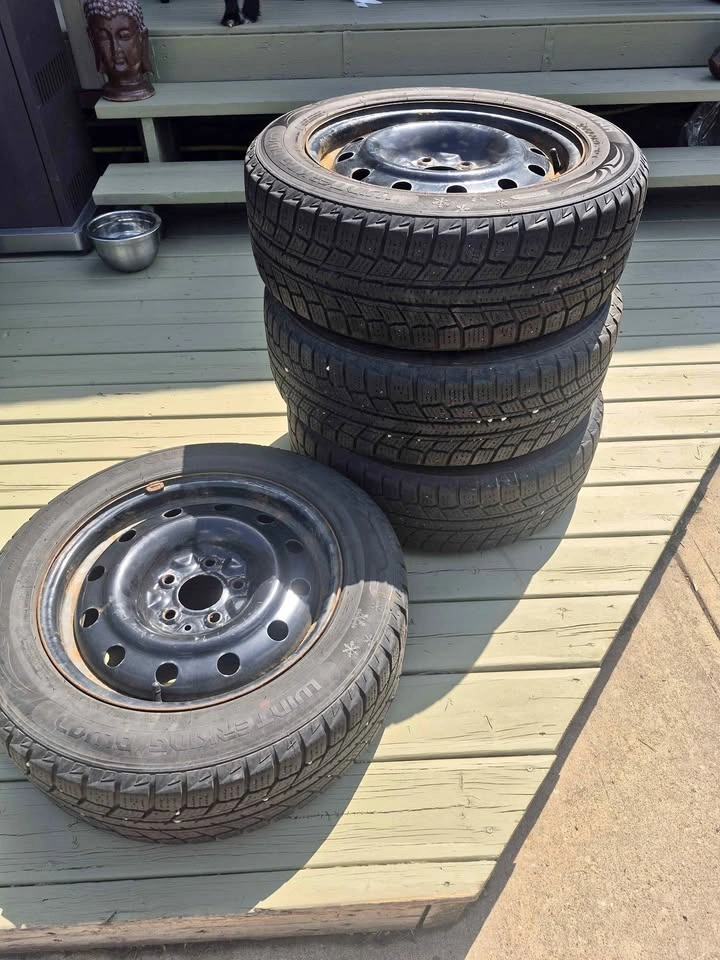 Doublestar Winterking DW07 205/60R16 Winter Tires with Rims