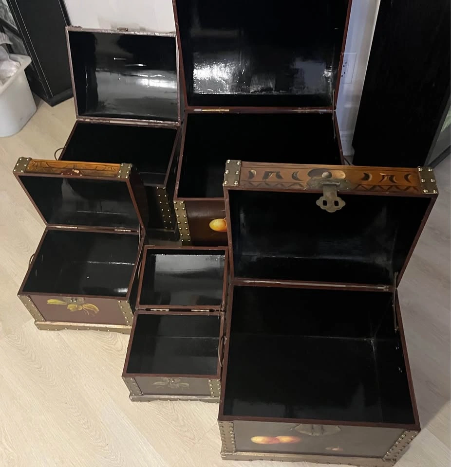 5 hand painted trunks - photo 5