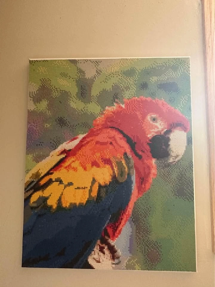 Macaw Diamond Painting