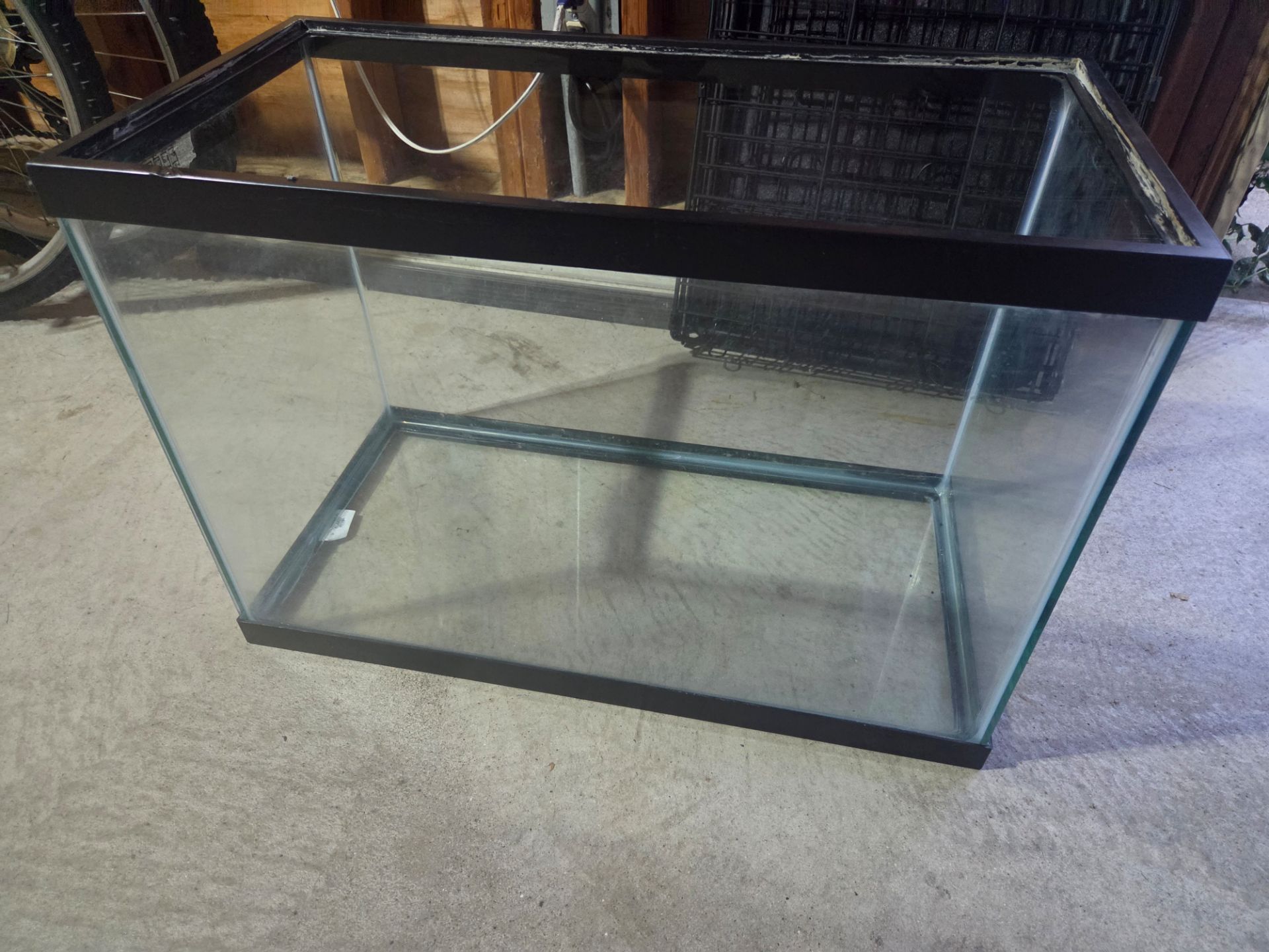 Large Glass Aquarium Tank with Black Frame