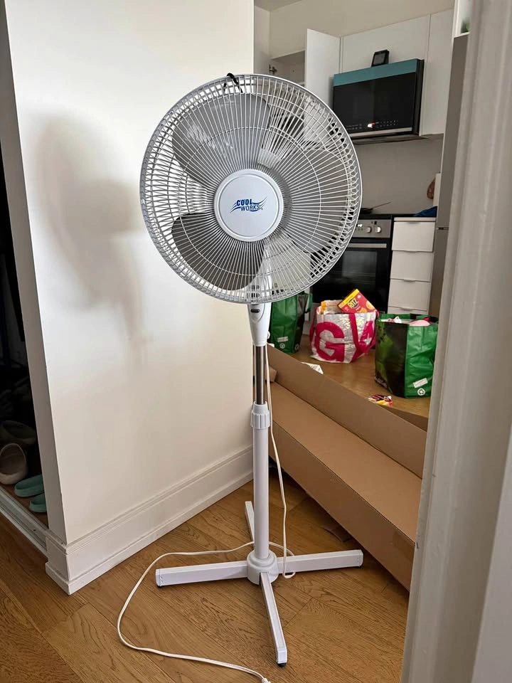Fan