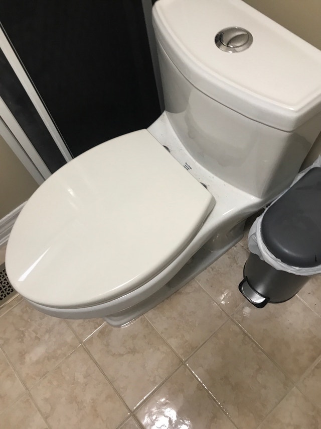 Really nice one piece toilet. Dual flush