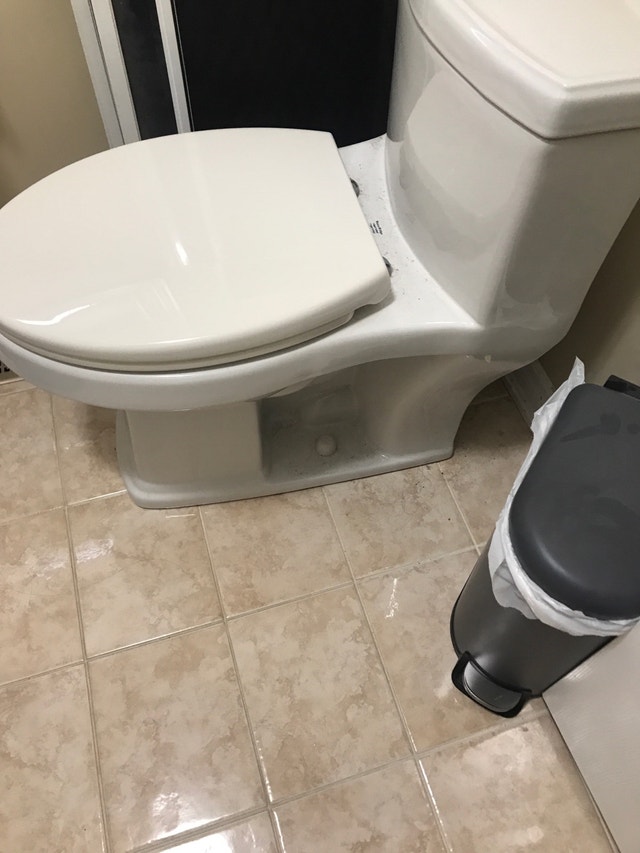 Really nice one piece toilet. Dual flush - photo 3