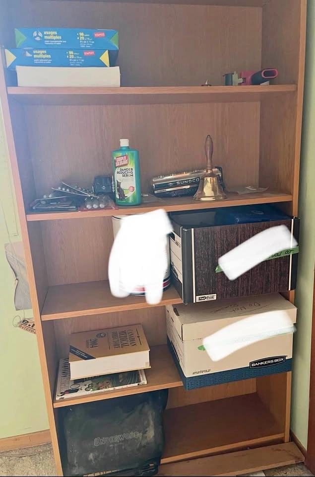Bookcases 3 to choose from
