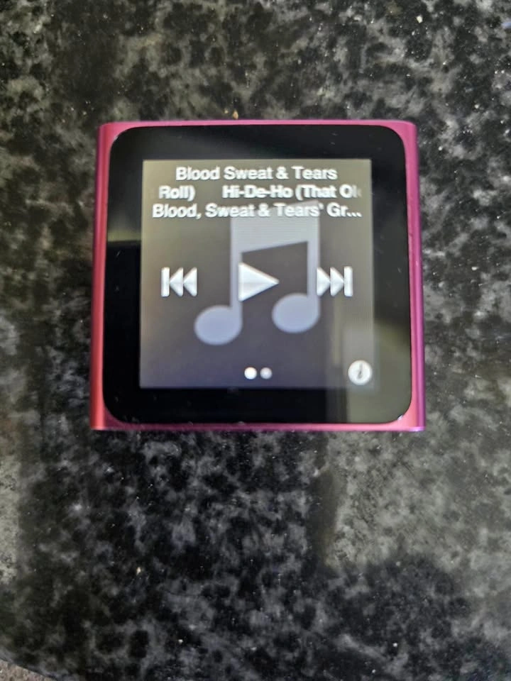 Apple iPod Nano 6th Generation 8GB