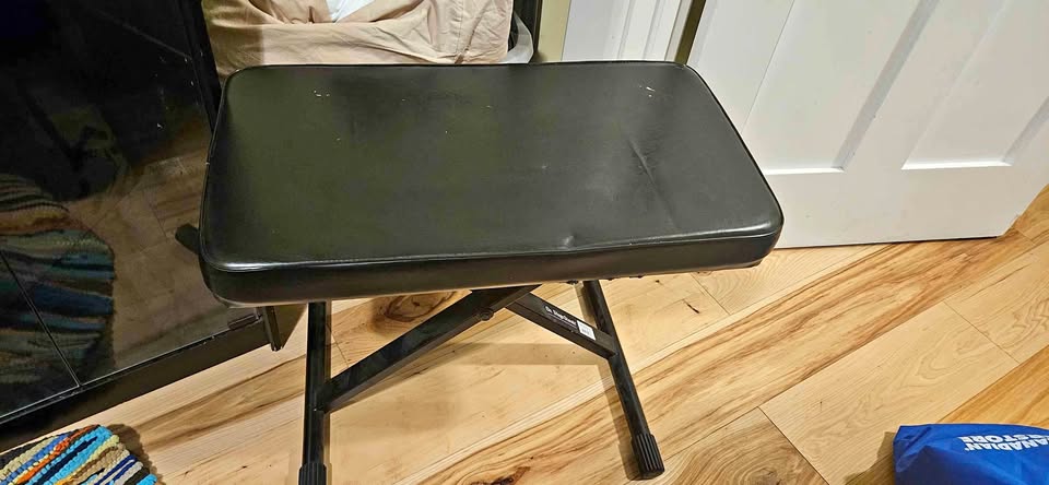 Cushioned Piano Seat
