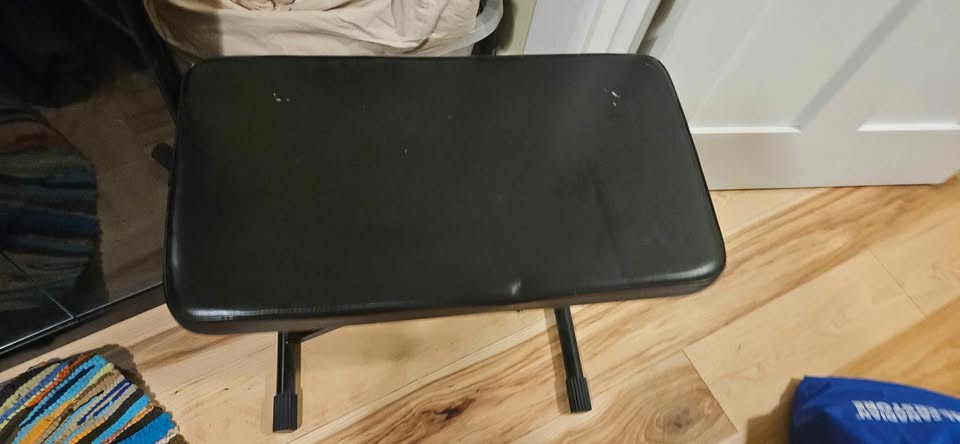 Cushioned Piano Seat - photo 2