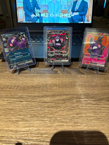 Morpeko ex 3-Card Lot Paldean Fates English Holo/Foil
