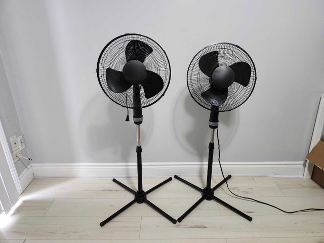 Pedestal Fan