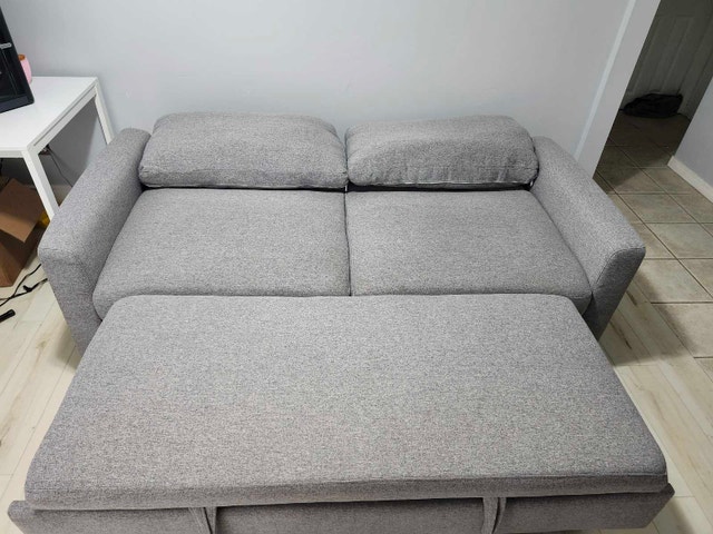 Gray Pull-Out Sofa Bed - photo 4