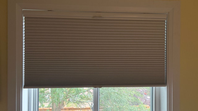 Cellular Window Shade