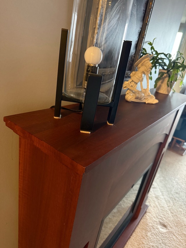 Standing electronic fireplace - photo 4