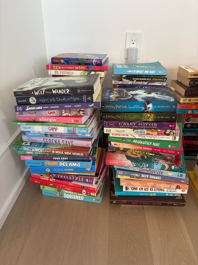 Young Adult Book Collection