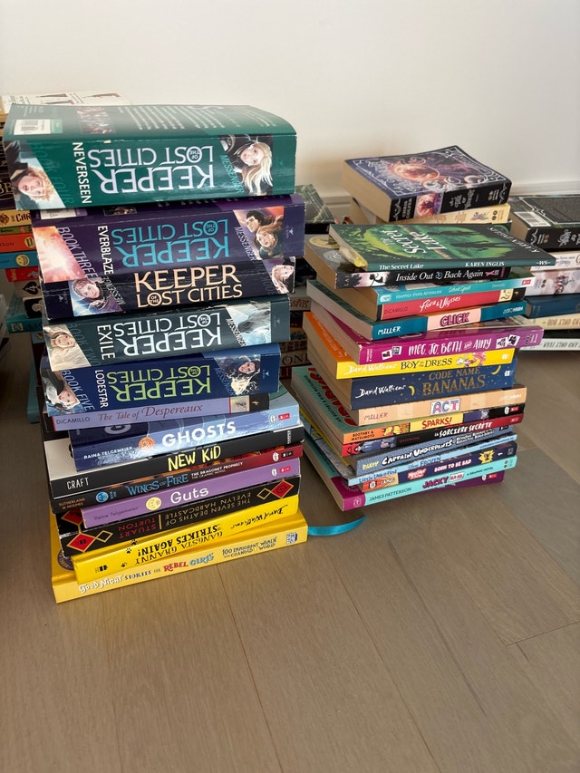 Young Adult Book Collection - photo 2