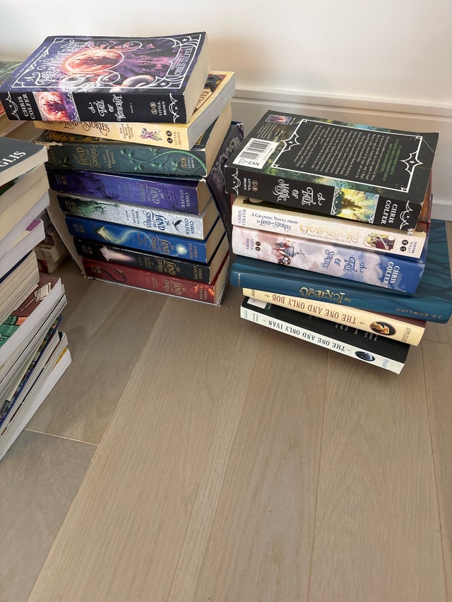 Young Adult Book Collection - photo 3